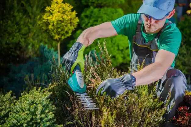 landscaping services Valley Stream
